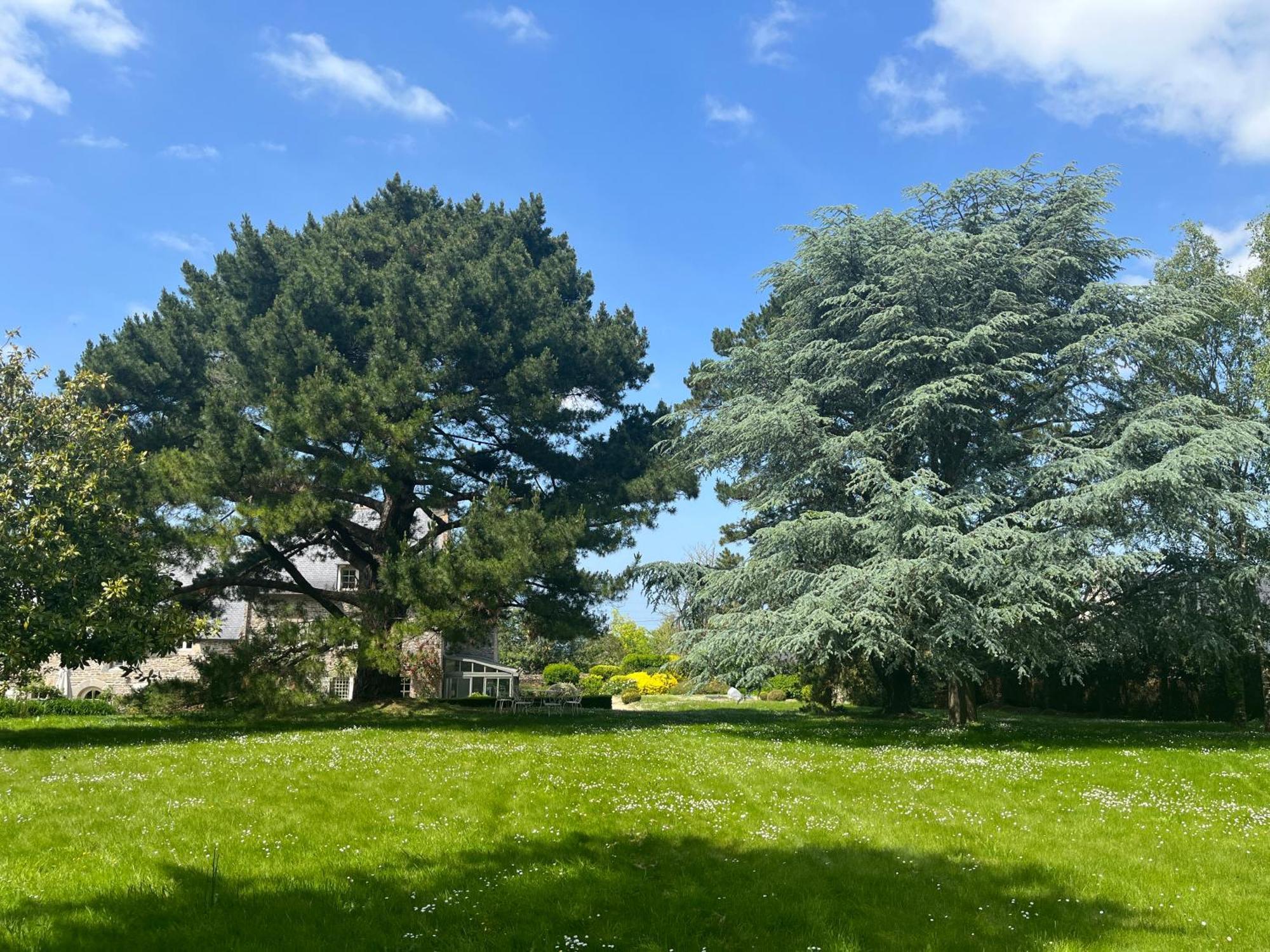 Manoir Des Bords De Rance Bed and Breakfast Plouër-sur-Rance Εξωτερικό φωτογραφία