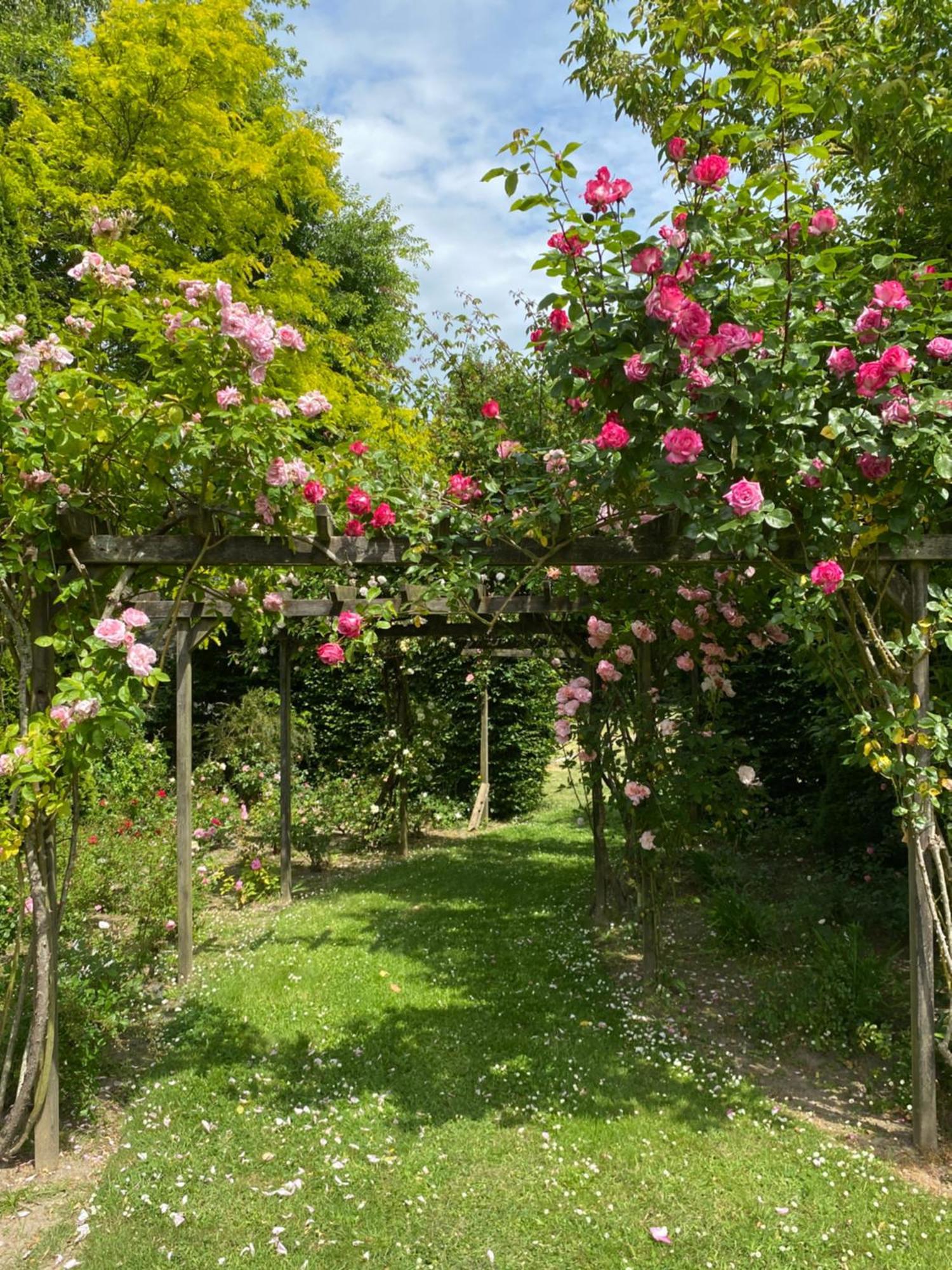 Manoir Des Bords De Rance Bed and Breakfast Plouër-sur-Rance Εξωτερικό φωτογραφία