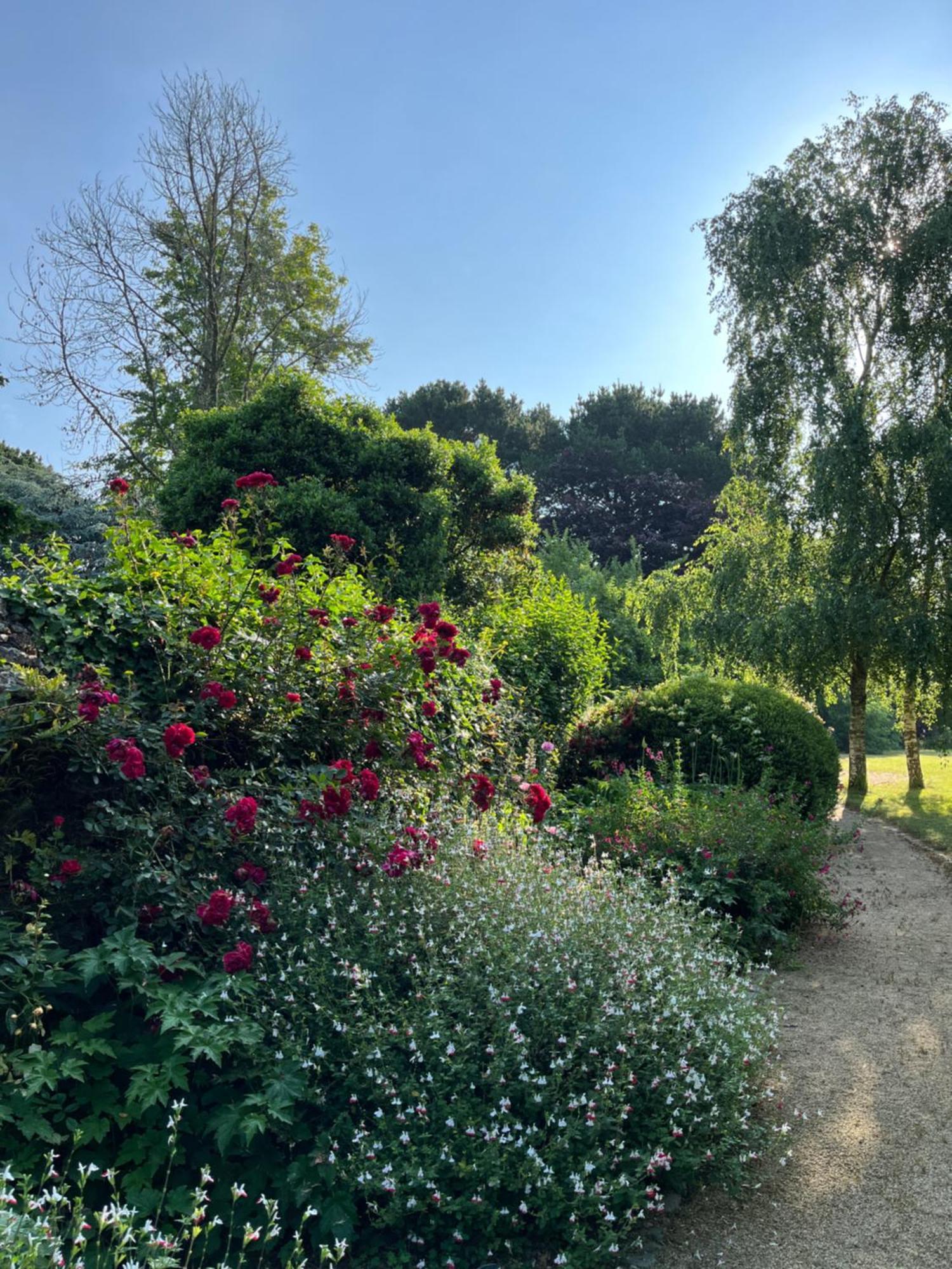 Manoir Des Bords De Rance Bed and Breakfast Plouër-sur-Rance Εξωτερικό φωτογραφία